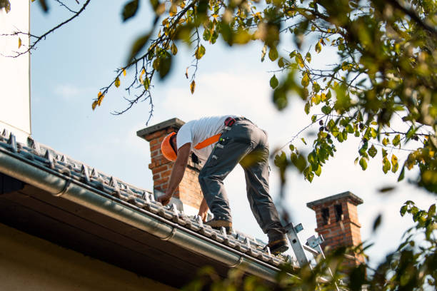 Best Flat Roof Repair Services  in Dawson Springs, KY