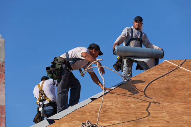 Best Flat Roof Repair Services  in Dawson Springs, KY