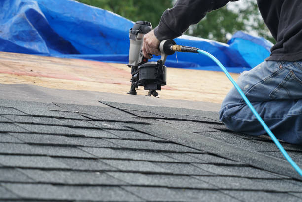 Best Roof Gutter Cleaning  in Dawson Springs, KY
