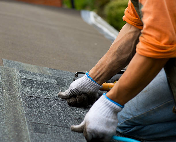Roof Gutter Cleaning in Dawson Springs, KY